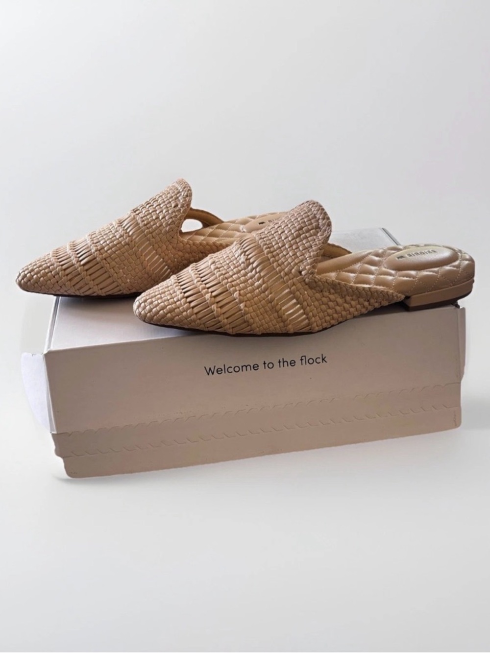 Birdies Woven Pointed Toe Mules in Beige